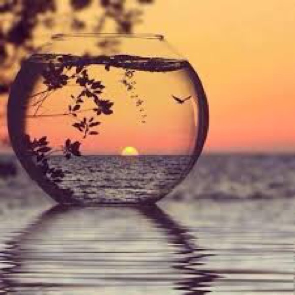 Meet your Posher, Asmaa - Picture 1 of 1